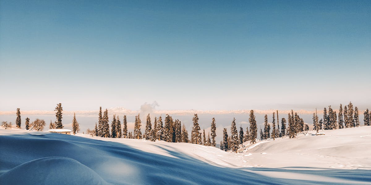 cueca termorreguladora